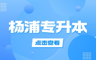 上海专升本什么学校有面试