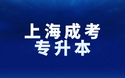 2024年上海成考网上报名入口，含报名条件